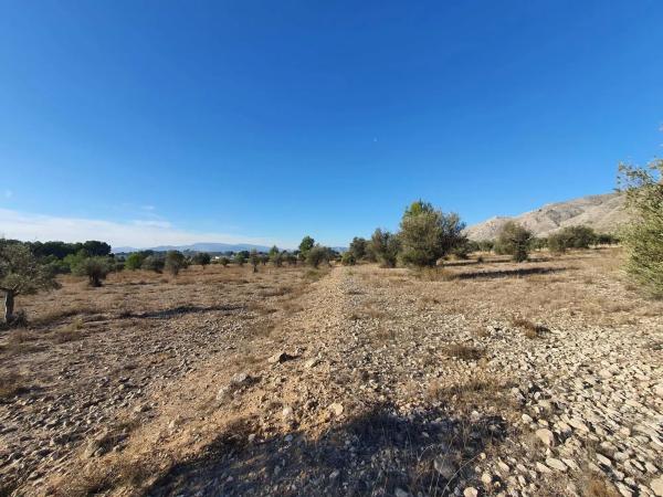 Terreno en calle a-W