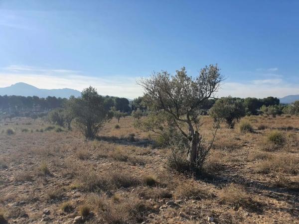 Terreno en calle a-W