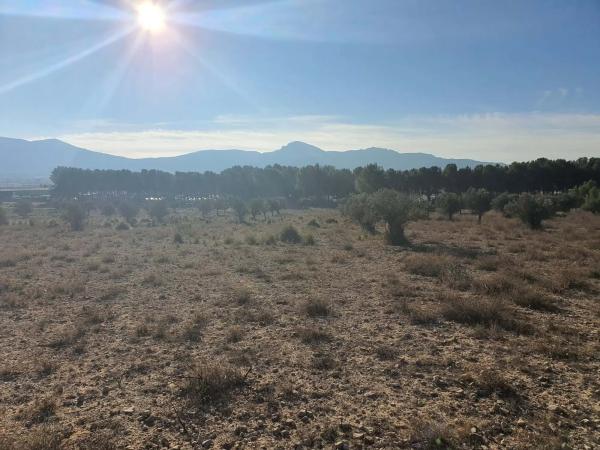 Terreno en calle a-W