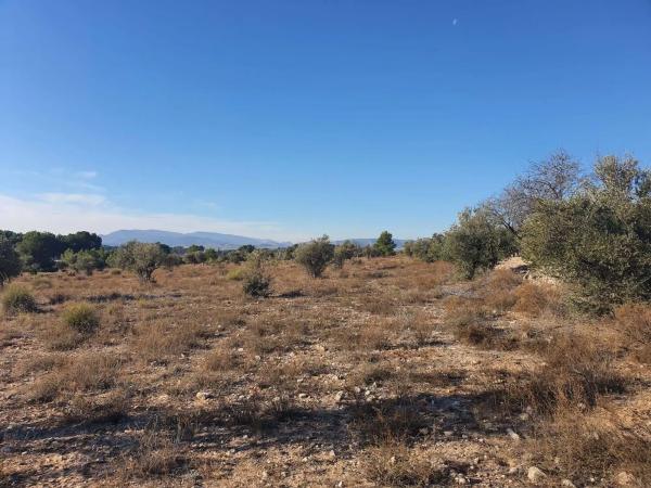 Terreno en calle a-W