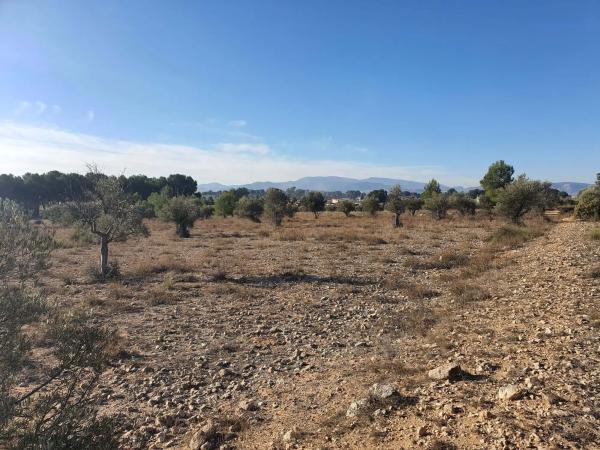 Terreno en calle a-W