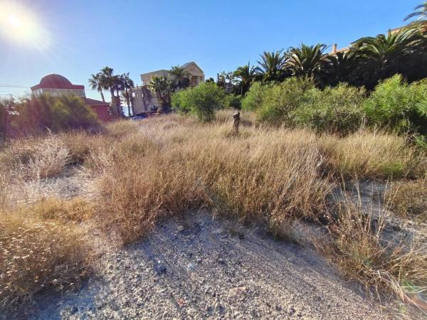 Terreno en avenida d'Amèrica, 163 --55