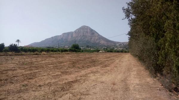 Terreno en camino Pla de en Roca s/n