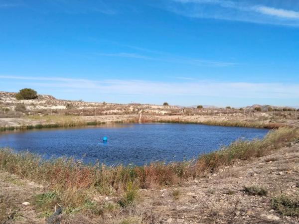 Terreno en carretera Torremendo, 7