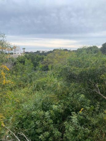 Terreno en carretera San Miguel Salinas, 26