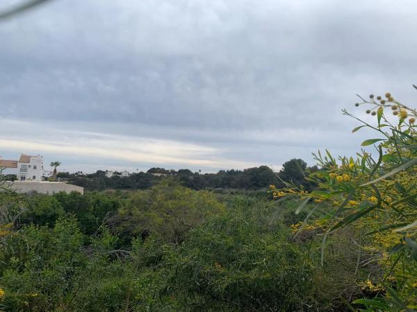Terreno en carretera San Miguel Salinas, 26