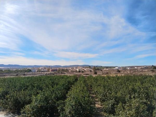 Terreno en carretera Torremendo, 7