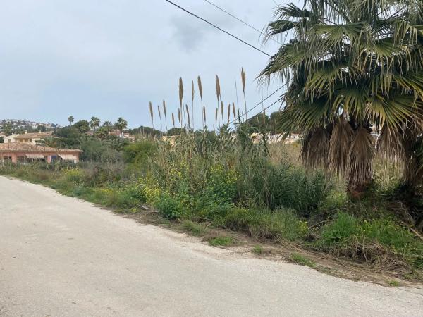 Terreno en •Carpi,1 Cala Advocat