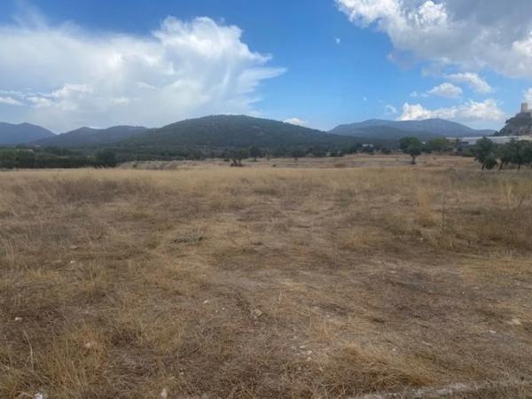 Terreno en Polígon Lloma la Uo16