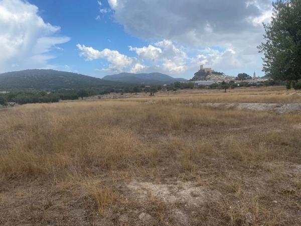 Terreno en Polígon Lloma la Uo16