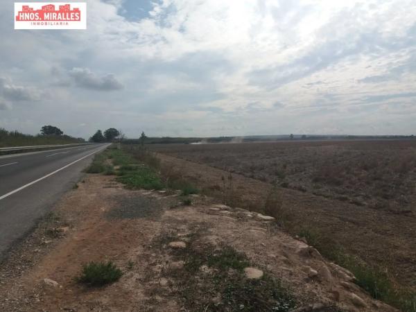 Terreno en La Hoya-Daimes-El Derramador