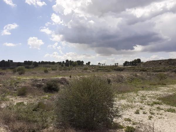 Terreno en Desamparados-Hurchillo-Torremendo