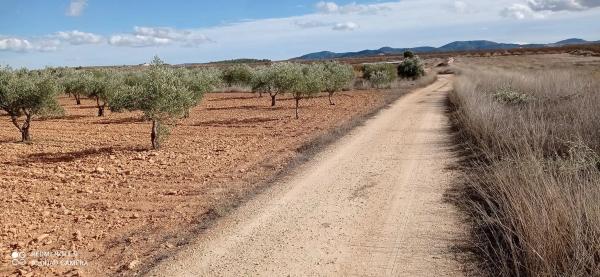 Terreno en via sense nom s/n