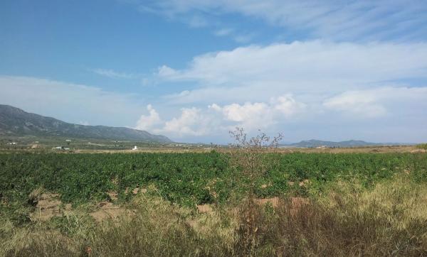 Terreno en via sense nom s/n