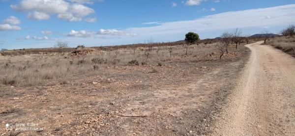 Terreno en via sense nom s/n