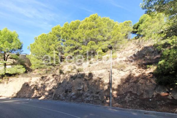 Terreno en avenida Principal