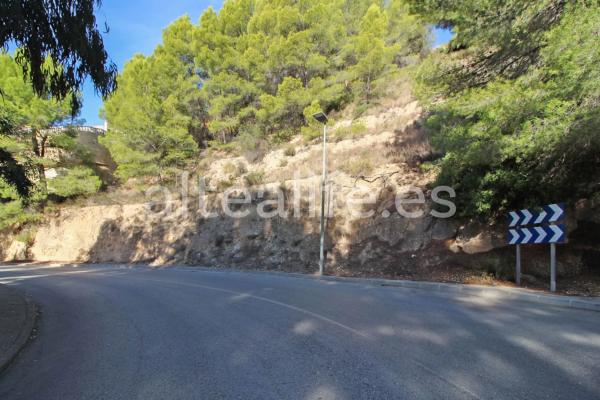 Terreno en avenida Principal