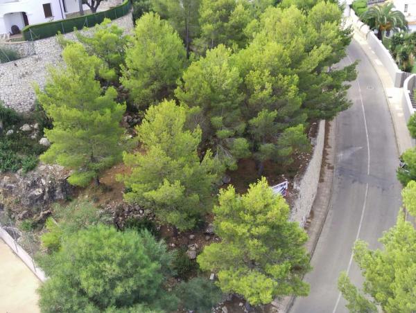 Terreno en Canopus, 6