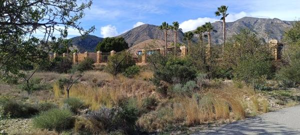 Terreno en Partida de la Fuente, 19