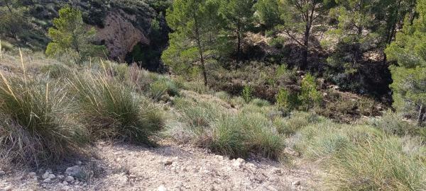 Terreno en Partida de la Fuente, 19