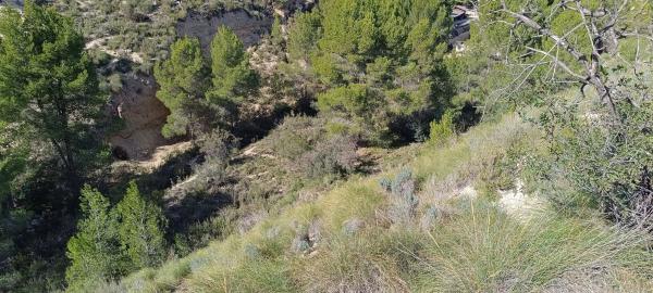 Terreno en Partida de la Fuente, 19