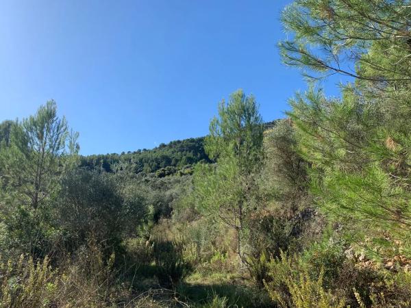 Terreno en Lloc Disseminats