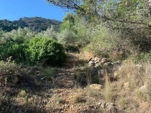 Terreno en Lloc Disseminats