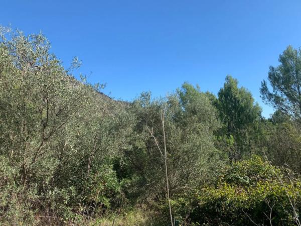 Terreno en Lloc Disseminats