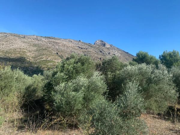 Terreno en Lloc Disseminats