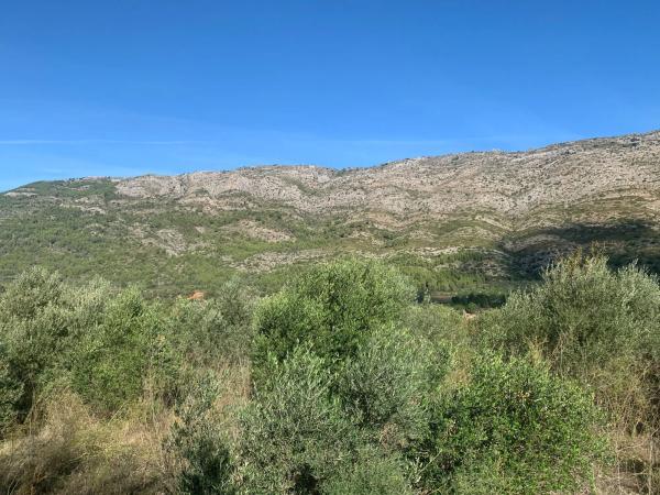 Terreno en Lloc Disseminats