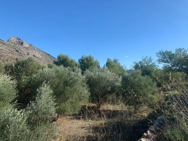 Terreno en Lloc Disseminats