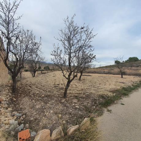 Terreno en calle del Trigo, 78