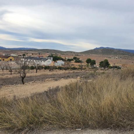 Terreno en calle del Trigo, 78