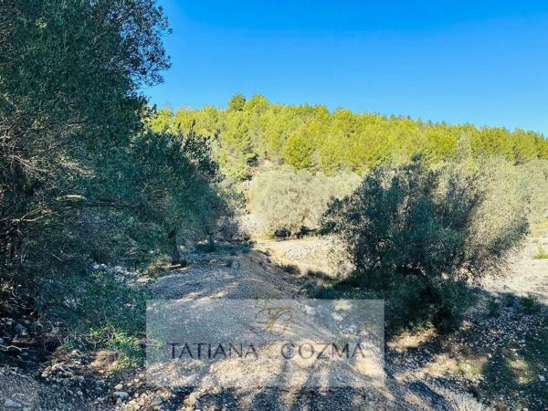 Terreno en calle de Sant Antoni, 2 -8