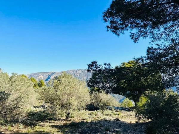 Terreno en calle de Sant Antoni, 2 -8