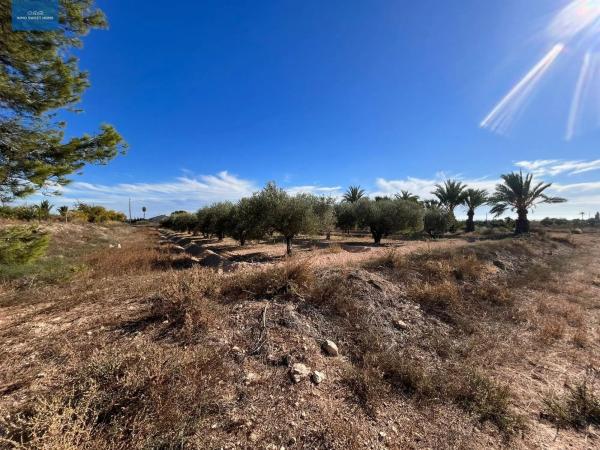 Terreno en La Galia-Bonavista