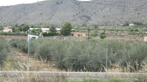 Terreno en Cv-844, 25