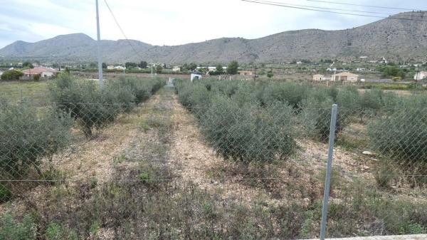 Terreno en Cv-844, 25