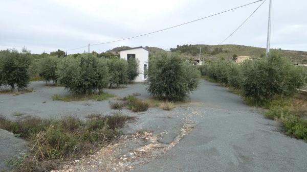 Terreno en Cv-844, 25