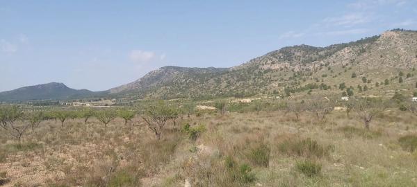 Terreno en calle Sol