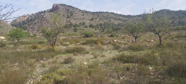 Terreno en calle Sol