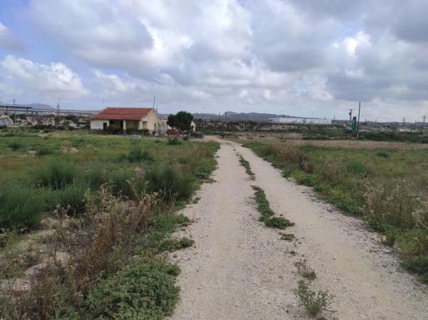 Terreno en Partida de Matola