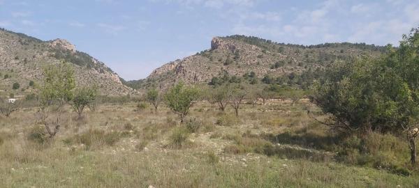 Terreno en calle Sol