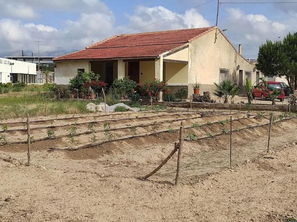 Terreno en Partida de Matola