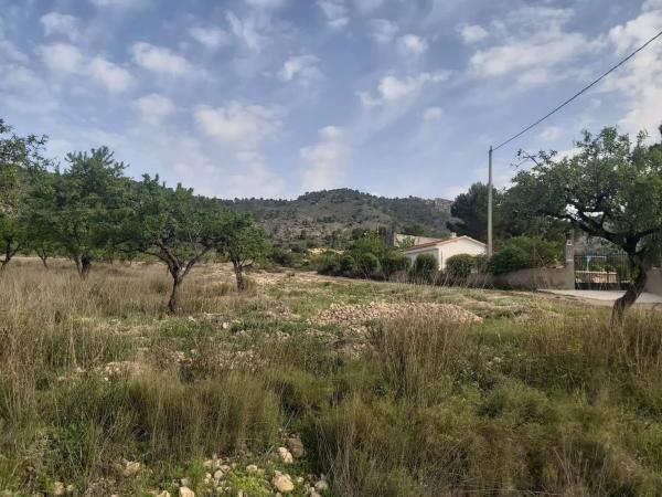 Terreno en calle Sol