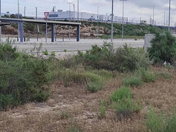 Terreno en Partida de Matola