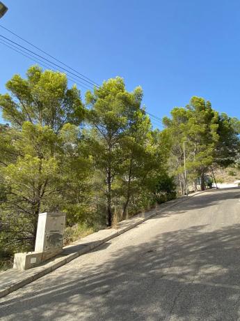 Terreno en calle Corniola, 1