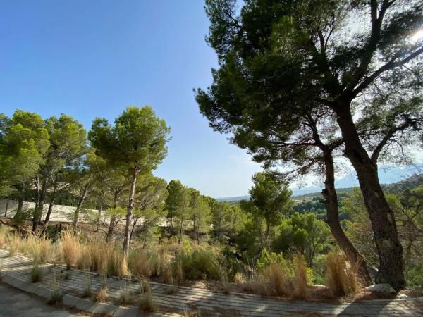 Terreno en calle Corniola, 1