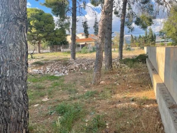 Terreno en calle Jardín, 4