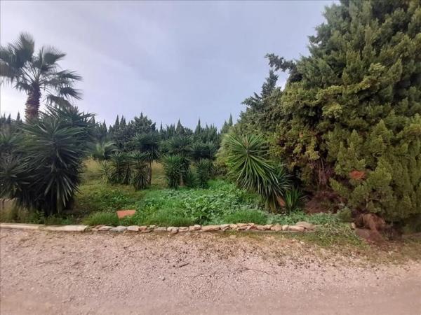 Terreno en Partida Sorts de la Mar Cl-19